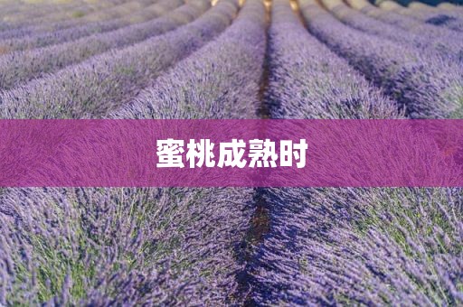 蜜桃成熟时