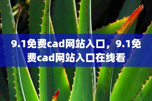 9.1免费cad网站入口，9.1免费cad网站入口在线看