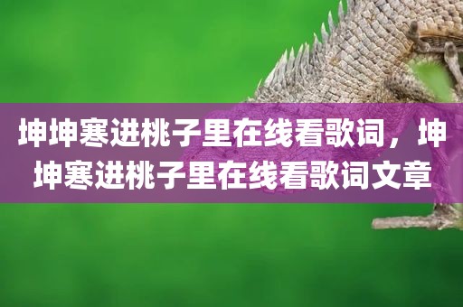 坤坤寒进桃子里在线看歌词，坤坤寒进桃子里在线看歌词文章