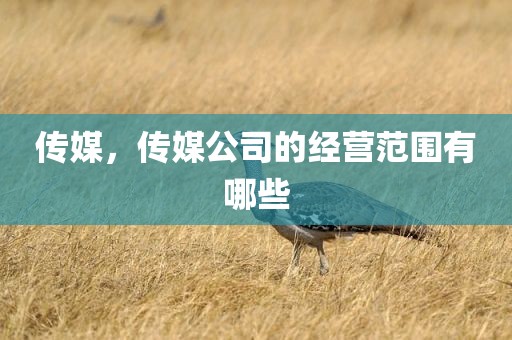 传媒，传媒公司的经营范围有哪些