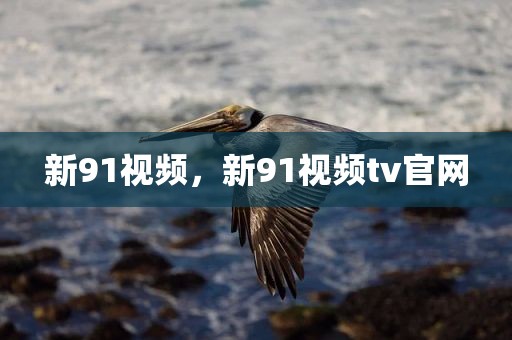 新91视频，新91视频tv官网