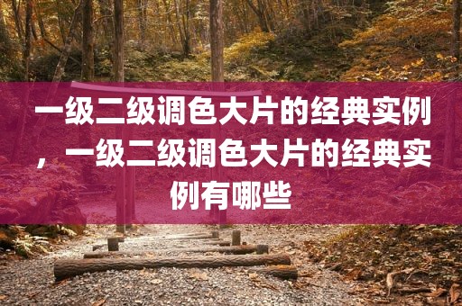 一级二级调色大片的经典实例，一级二级调色大片的经典实例有哪些