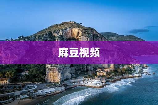 麻豆视频
