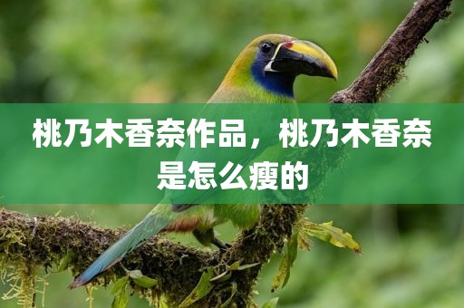 桃乃木香奈作品，桃乃木香奈是怎么瘦的