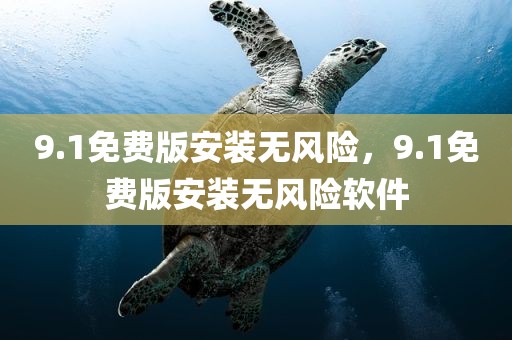 9.1免费版安装无风险，9.1免费版安装无风险软件