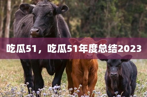 吃瓜51，吃瓜51年度总结2023
