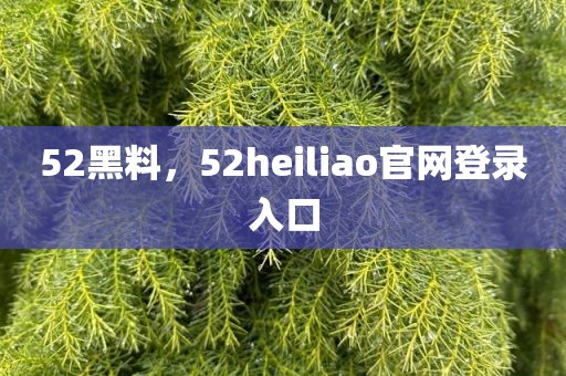 52黑料，52heiliao官网登录入口
