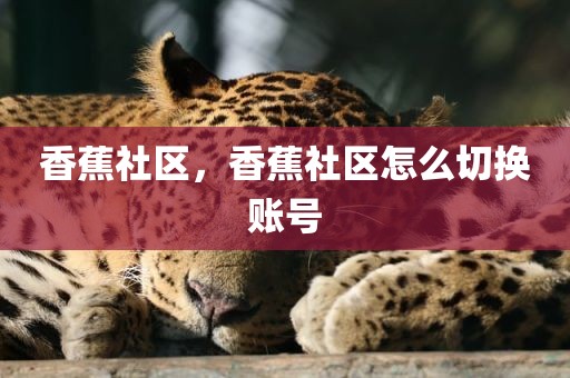 香蕉社区，香蕉社区怎么切换账号