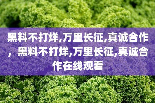 黑料不打烊,万里长征,真诚合作，黑料不打烊,万里长征,真诚合作在线观看