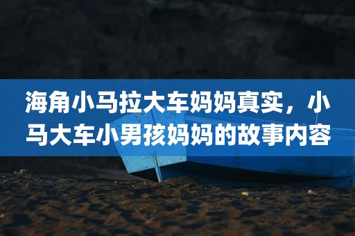 海角小马拉大车妈妈真实，小马大车小男孩妈妈的故事内容
