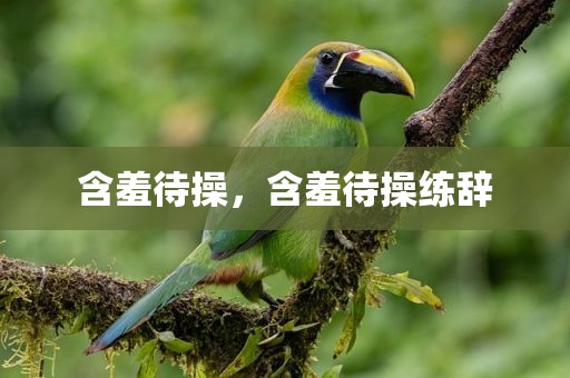 含羞待操，含羞待操练辞