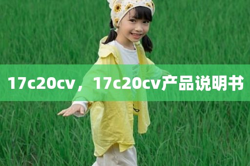 17c20cv，17c20cv产品说明书