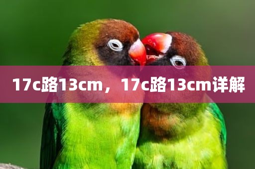 17c路13cm，17c路13cm详解