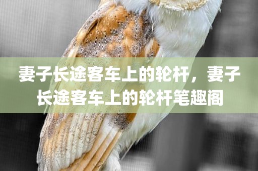 妻子长途客车上的轮杆，妻子长途客车上的轮杆笔趣阁