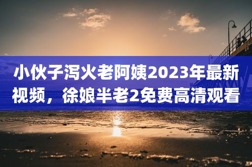 小伙子泻火老阿姨2023年最新视频，徐娘半老2免费高清观看