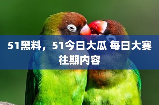 51黑料，51今日大瓜 每日大赛往期内容
