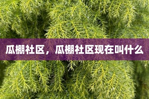 瓜棚社区，瓜棚社区现在叫什么