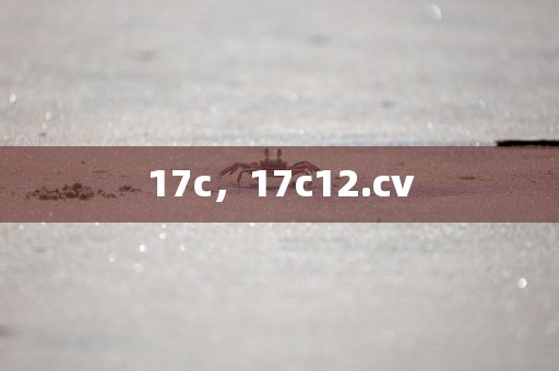 17c，17c12.cv