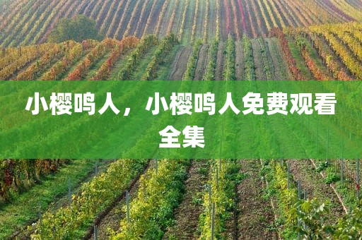 小樱鸣人，小樱鸣人免费观看全集
