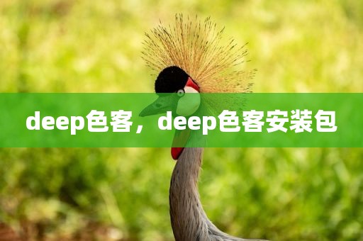 deep色客，deep色客安装包