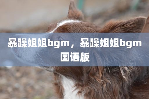暴躁姐姐bgm，暴躁姐姐bgm国语版