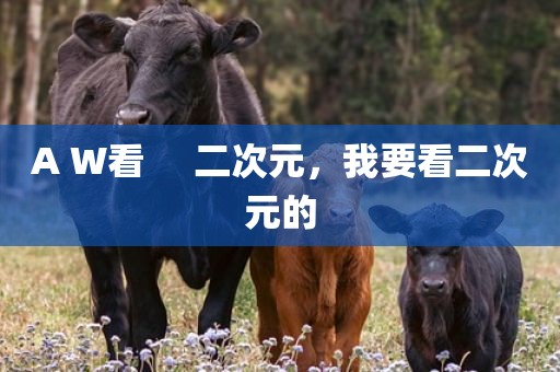 A W看     二次元，我要看二次元的