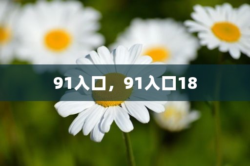 91入口，91入口18