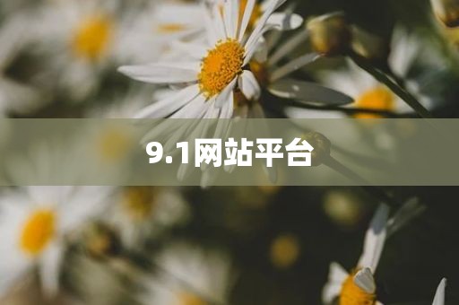 9.1网站平台