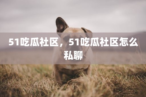 51吃瓜社区，51吃瓜社区怎么私聊
