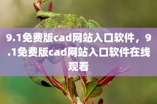 9.1免费版cad网站入口软件，9.1免费版cad网站入口软件在线观看