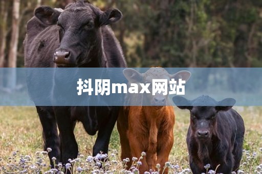 抖阴max网站