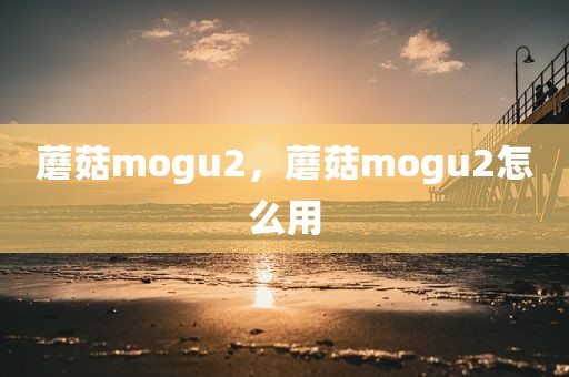 蘑菇mogu2，蘑菇mogu2怎么用