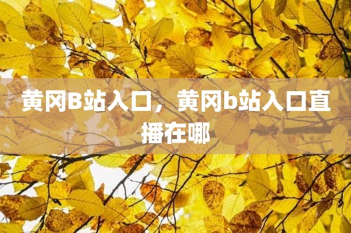 黄冈B站入口，黄冈b站入口直播在哪