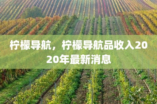 柠檬导航，柠檬导航品收入2020年最新消息