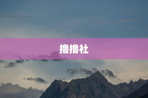 撸撸社