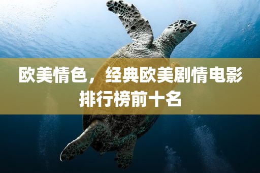 欧美情色，经典欧美剧情电影排行榜前十名