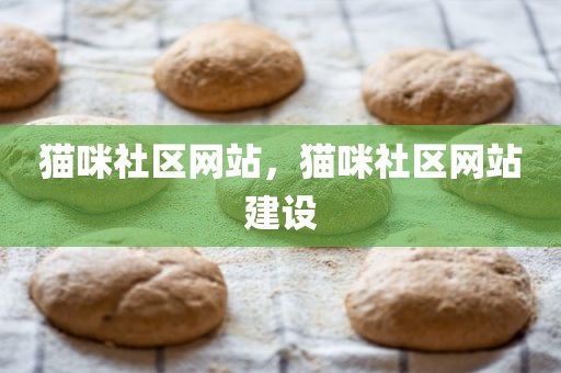 猫咪社区网站，猫咪社区网站建设
