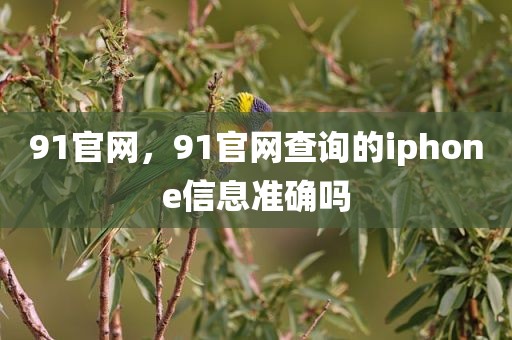 91官网，91官网查询的iphone信息准确吗