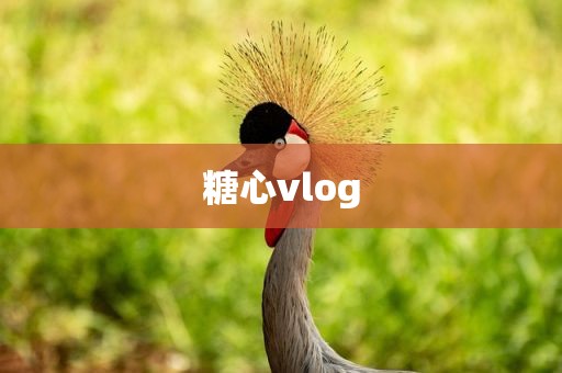 糖心vlog