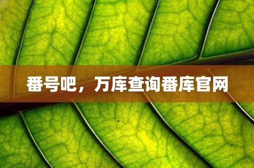 番号吧，万库查询番库官网