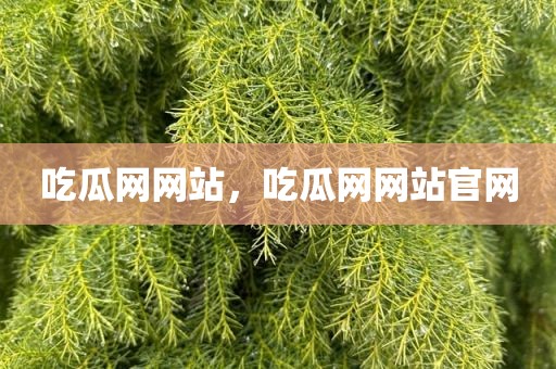 吃瓜网网站，吃瓜网网站官网