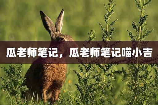 瓜老师笔记，瓜老师笔记喵小吉