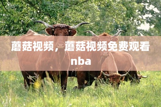 蘑菇视频，蘑菇视频免费观看nba