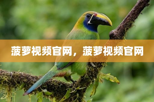 菠萝视频官网，菠萝视频官网