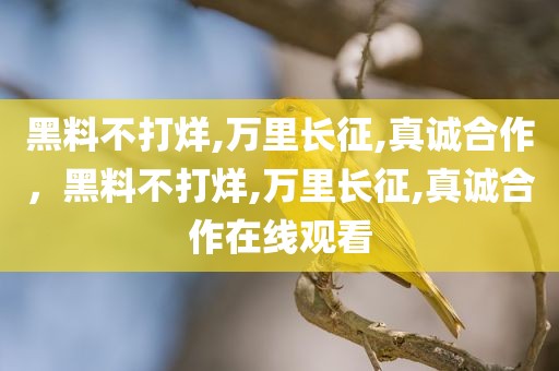 黑料不打烊,万里长征,真诚合作，黑料不打烊,万里长征,真诚合作在线观看