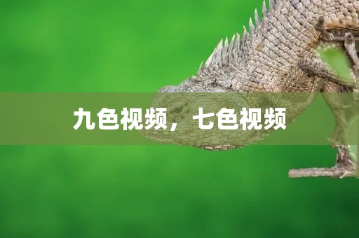 九色视频，七色视频