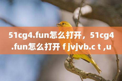 51cg4.fun怎么打开，51cg4.fun怎么打开 f jvjvb.c t ,u