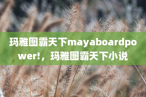 玛雅图霸天下mayaboardpower!，玛雅图霸天下小说