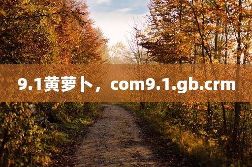 9.1黄萝卜，com9.1.gb.crm