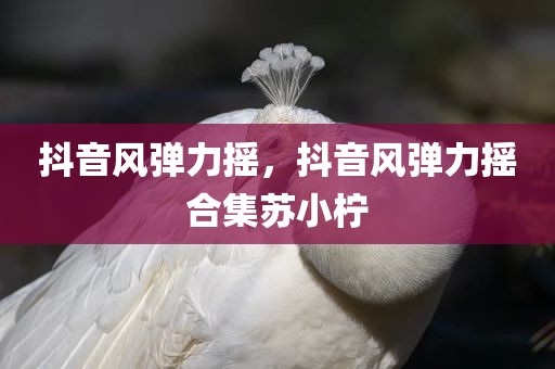 抖音风弹力摇，抖音风弹力摇合集苏小柠